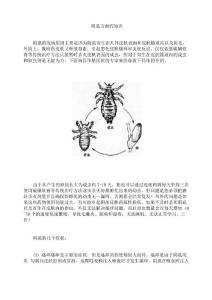 阴虱方面的知识