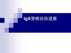 iga肾病诊治进展