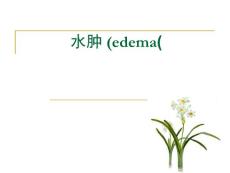 水肿医学课件