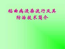 稻曲病浸染流行及防治技术
