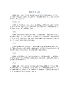 髓脂肪瘤1例