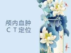 颅内血肿ＣＴ定位