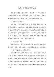 龍馬小學(xué)實(shí)驗(yàn)室工作總結(jié)