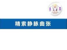 精索静脉曲张教学