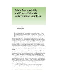 Public Responsibility and Private Enterprise in Developing Countries.