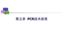 PCR技术原理_高等教育-大学课件