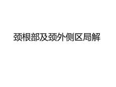 头颈部解剖2