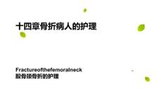 股骨颈骨折护理