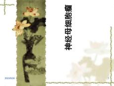 神经母细胞瘤超声表现
