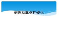 病理动脉粥样硬化