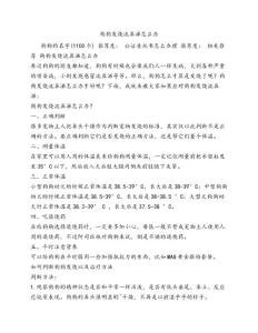 狗狗发烧流鼻涕怎么办