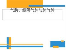 精选最新气胸、纵隔气肿及肺气肿