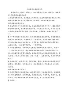 狗狗鼻塞流鼻涕怎么办