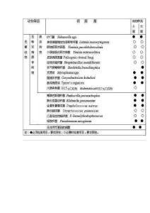 大小鼠細菌檢測等級標準