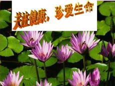 微量元素学习课件