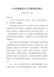 XX代表审议XX工作报告发言稿3