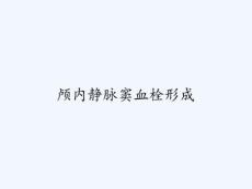 颅内静脉窦血栓形成 PPT