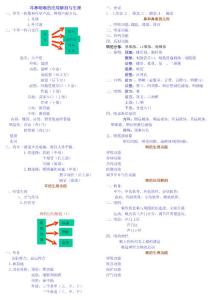 耳鼻咽喉的應用解剖與生理（文字歸納版）
