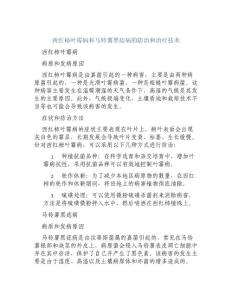 西红柿叶霉病和马铃薯黑痣病的防治和治疗技术[1]