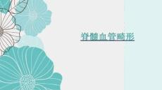 脊髓血管畸形影像表现