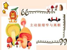 主动脉缩窄与离断影像表现