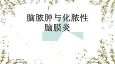 脑脓肿与化脓性脑膜炎影像