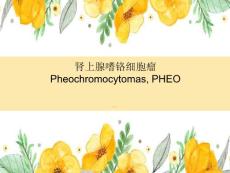 肾上腺嗜铬细胞瘤影像