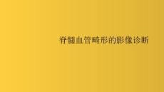脊髓血管畸形影像