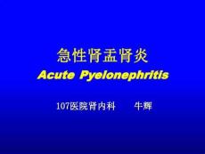 急性肾盂肾炎
