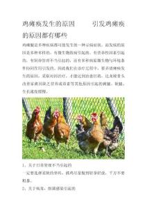 鸡瘫痪发生的原因 引发鸡瘫痪的原因都有哪些