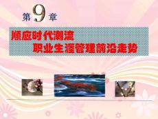 職業(yè)生涯管理：原理.方法.實踐09