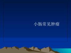 小肠常见肿瘤课件