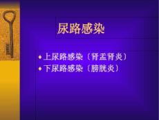 尿路感染课件