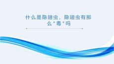 什么是隐翅虫隐翅虫有那么毒吗（课件）小学生健康安全主题班会(1)