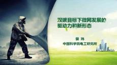 中科院-雙碳目標下微網發展的驅動力和新形態-2023