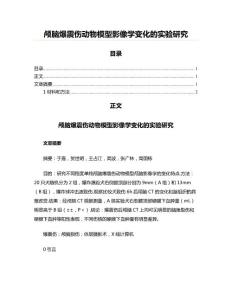 颅脑爆震伤动物模型影像学变化的实验研究