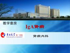 IgA肾病教学查房