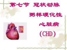 冠状动脉课件