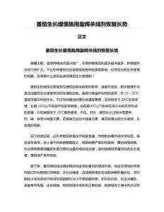 番茄生长缓慢施用盈辉杀线剂恢复长势