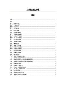 龍湖企業(yè)文化(實用應(yīng)用文)