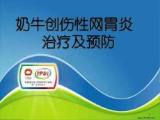 创伤性网胃心包炎课件
