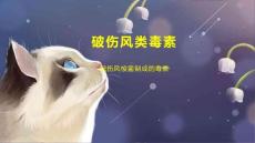 破伤风类毒素