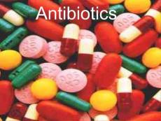 抗生素英文課件精品 Antibiotics 抗生素