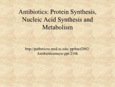 抗生素英文课件精品Antibiotics Protein Synthesis, Nucleic Acid Synthesis and Metabolism