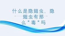 什么是隐翅虫隐翅虫有那么毒吗（课件）小学生健康安全主题班会