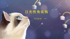 日光性角化病
