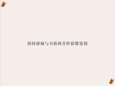 肺转移瘤与韦格肉芽肿影像鉴别课件