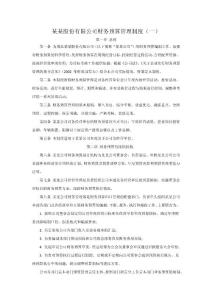 某某股份有限公司財務預算管理制度（一）