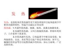 发热