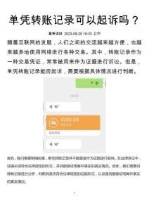 单凭转账记录可以起诉吗？
